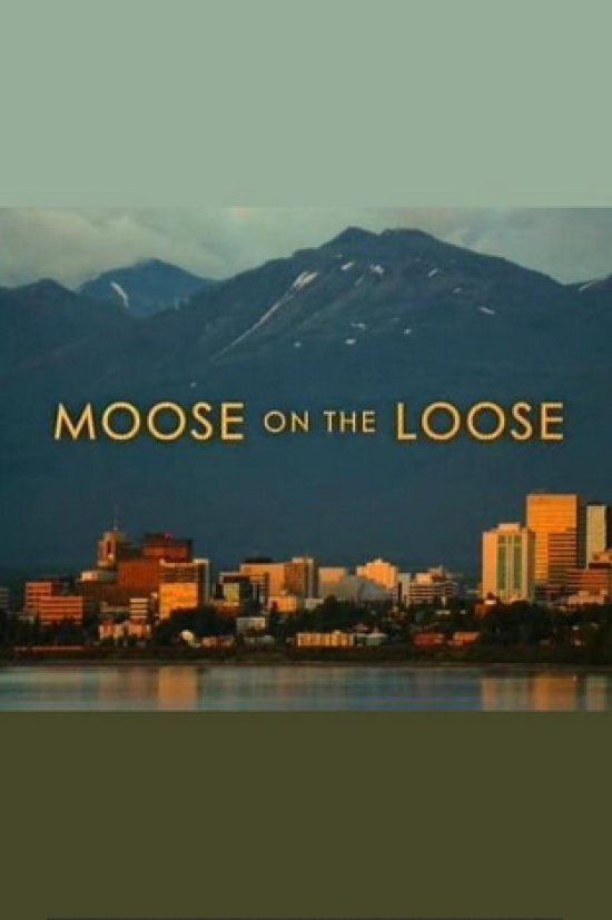 Постер Moose on the Loose